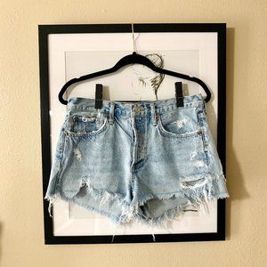 Agolde Parker Vintage Cut Off Short in "Swampmeet"